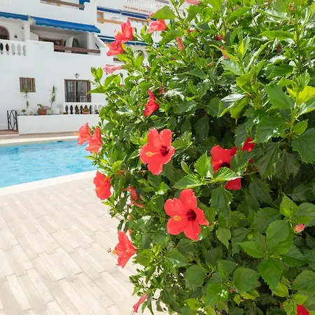 Sunset View, Cristianos - Port Royale Лос Кристианос